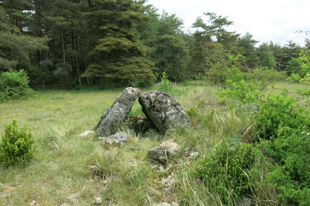 Dolmen du Barjac constitué de 2 pierres